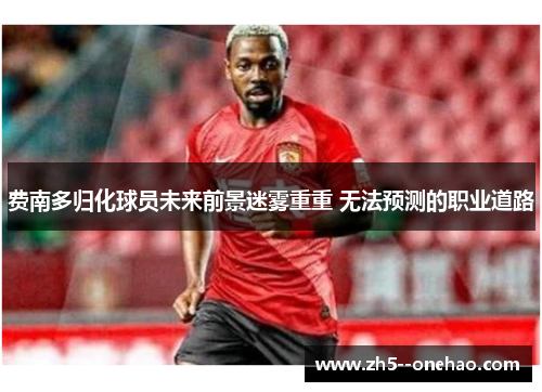 费南多归化球员未来前景迷雾重重 无法预测的职业道路 费南多归化球员未来前景迷雾重重 无法预测的职业道路