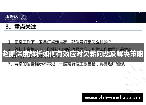 赵鹏深度解析如何有效应对欠薪问题及解决策略