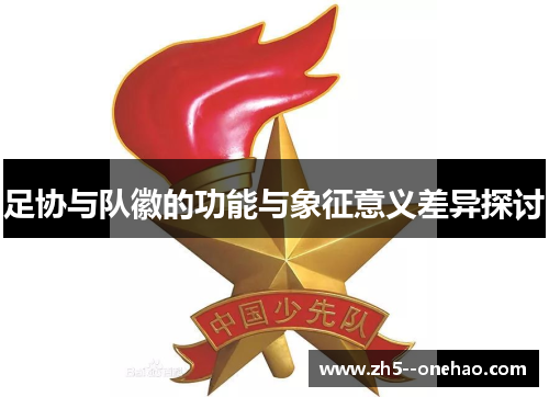 足协与队徽的功能与象征意义差异探讨