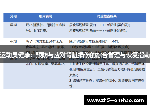 运动员健康：预防与应对肾脏损伤的综合管理与恢复指南