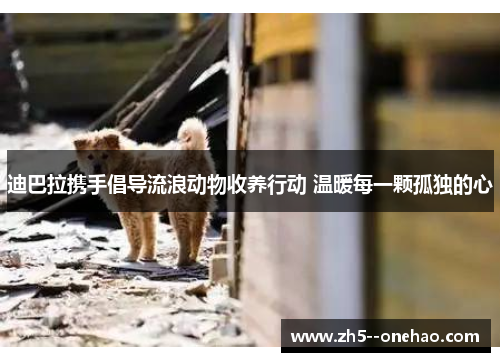 迪巴拉携手倡导流浪动物收养行动 温暖每一颗孤独的心