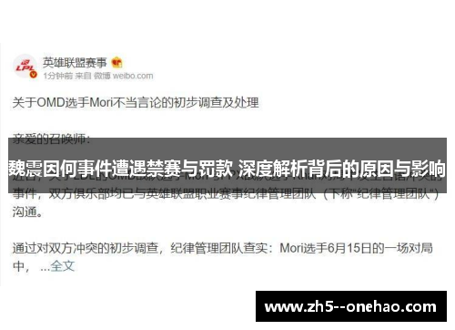 魏震因何事件遭遇禁赛与罚款 深度解析背后的原因与影响