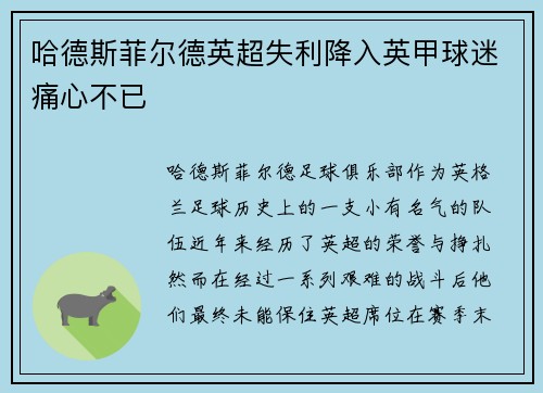 哈德斯菲尔德英超失利降入英甲球迷痛心不已 哈德斯菲尔德英超失利降入英甲球迷痛心不已